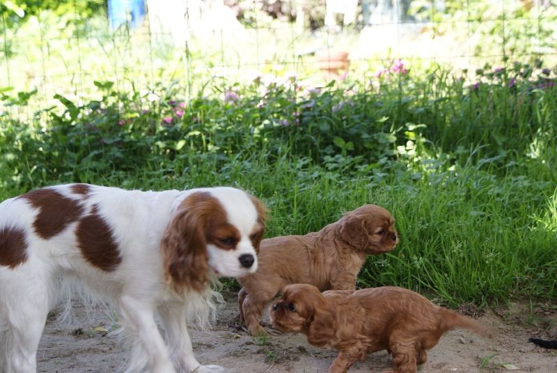 Les bébés de DORIS